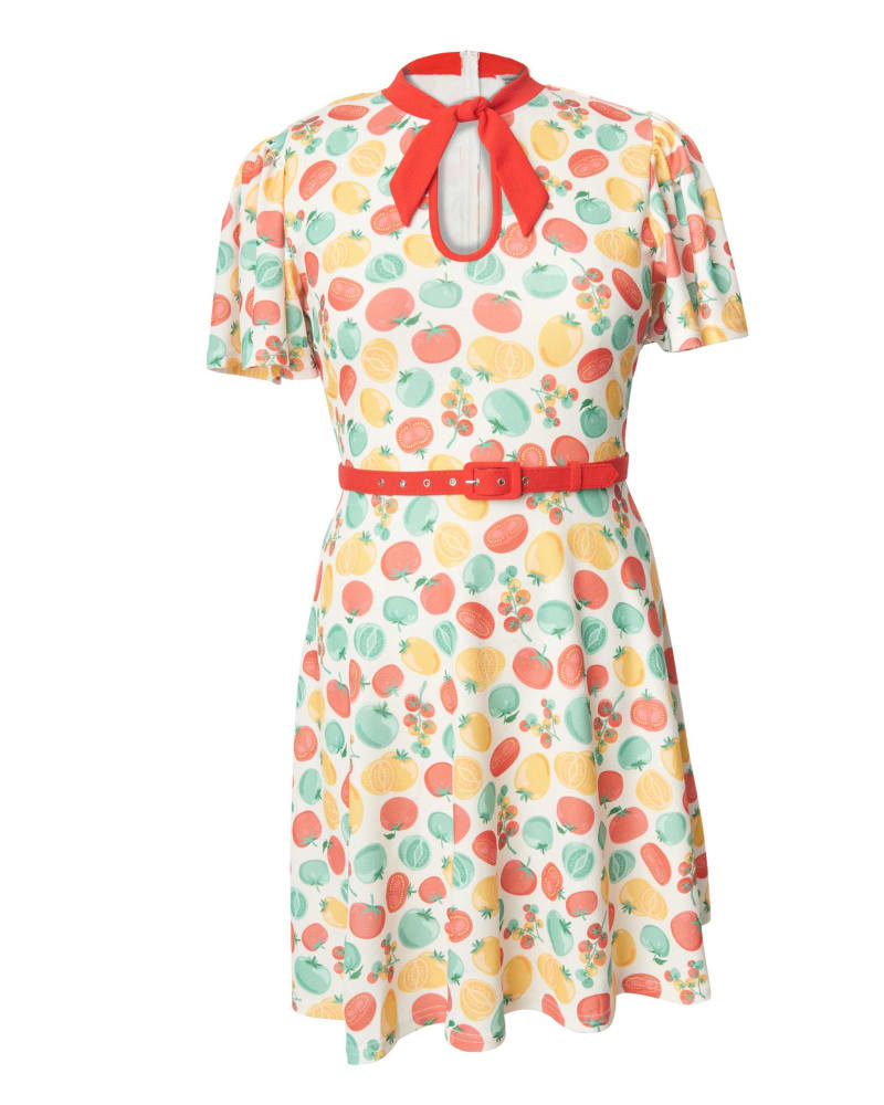 Front of a size 5X Unique Vintage Ivory & Red Tomato Print Flare Dress in White & Tomato Print by Unique Vintage. | dia_product_style_image_id:298513
